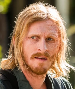 Visage de Dwight dans la série The Walking Dead